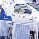 Inscrições para o programa de castração de cães e gatos seguem até o dia 27