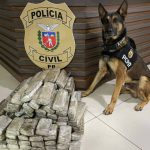 Operações com cães da PCPR ajudaram a tirar 5,7 toneladas de drogas de circulação em 2025