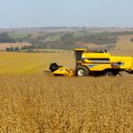 Safra de Soja do Paraná se aproxima do recorde e reforça otimismo, aponta Deral