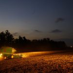 Portaria do Paraná amplia período de plantio da soja para produção de sementes