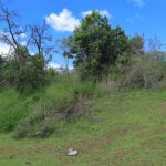 Proprietários têm até 17 de março para limpar terrenos em Pato Branco