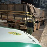 PMPR apreende quase 12 toneladas de baterias e detém motorista por crime ambiental em Vitorino