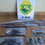 Polícia militar registra três ocorrências e cumpre mandado de prisão na região sudoeste