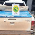 Operação Protetor: PM apreende 34 caixas de cigarros contrabandeados e mais de R$ 82 mil em Clevelândia